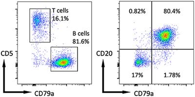 Case Report: Clinical and Serological Hallmarks of Cytokine Release Syndrome in a Canine B Cell Lymphoma Patient Treated With Autologous CAR-T Cells
